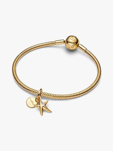 Talisman de tip pandantiv dublu cu stea de mare